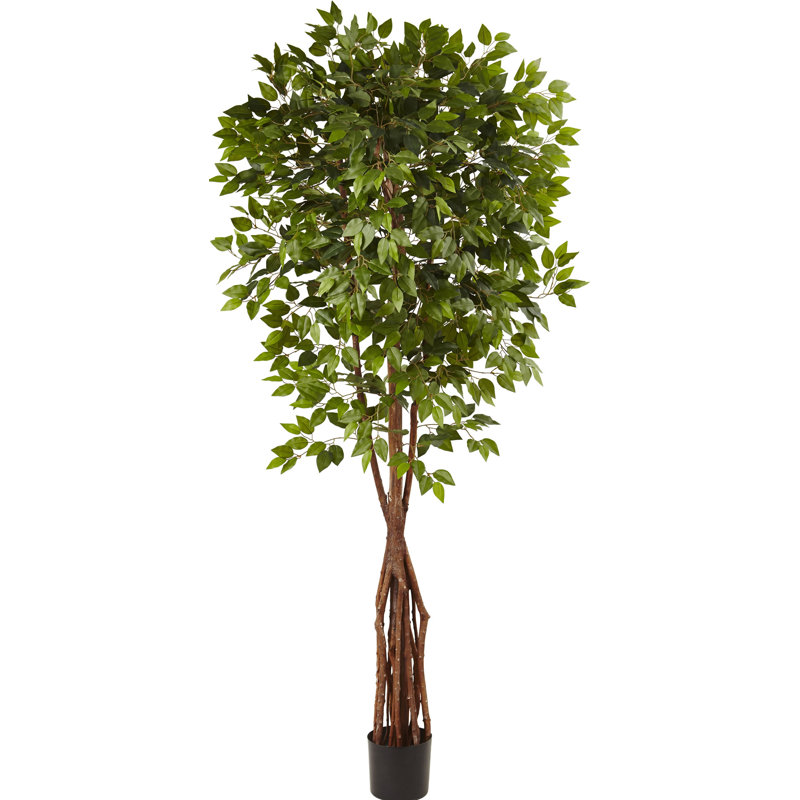 Nearly Natural Super Deluxe Ficus Tree in Pot & Reviews Wayfair